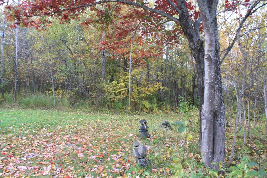 Carolyn Beach Inn Thessalon Extérieur photo